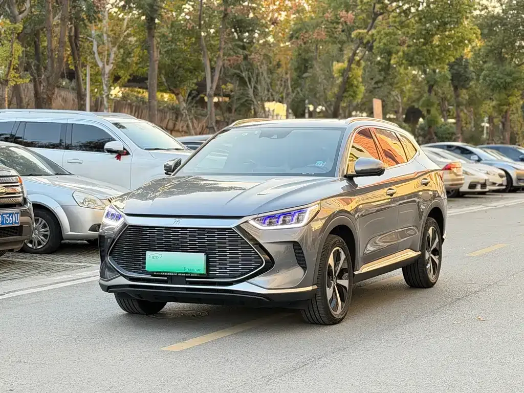 BYD PLUS New Energy 2022 из CN, фото 1