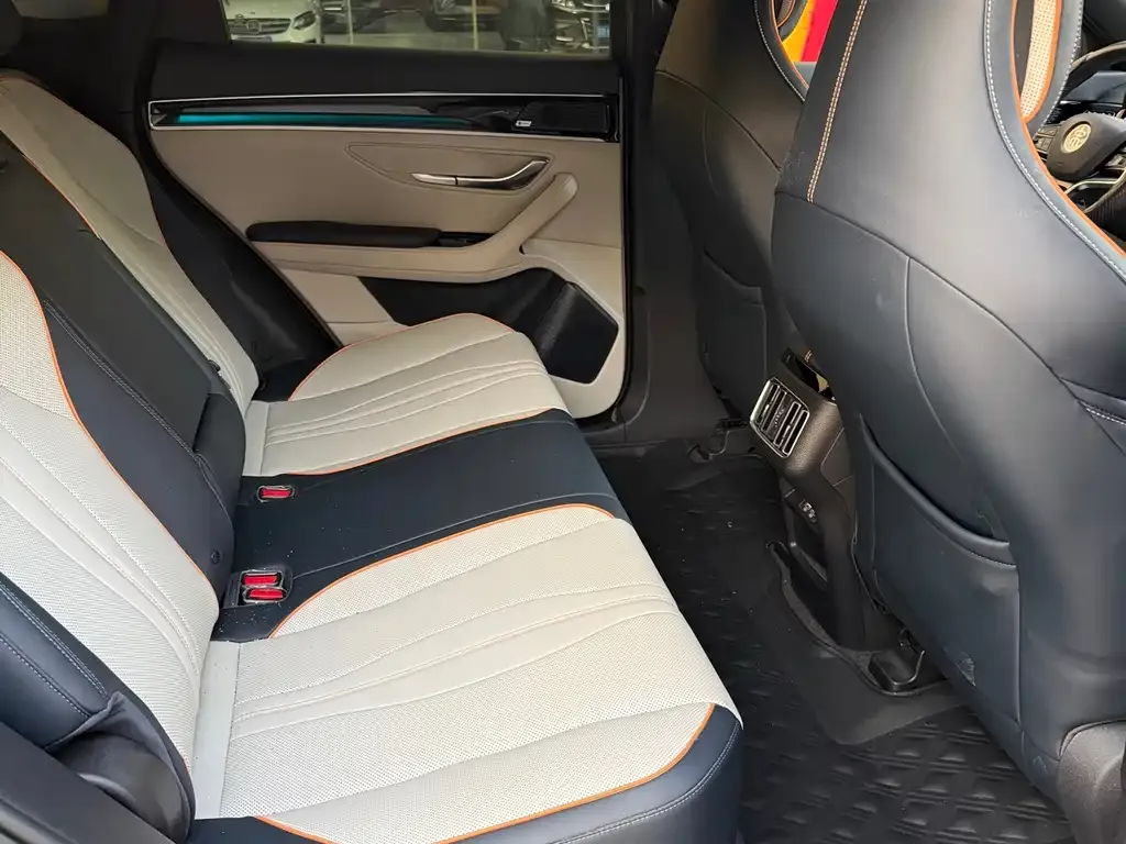BYD PLUS New Energy 2022 из CN, фото 5