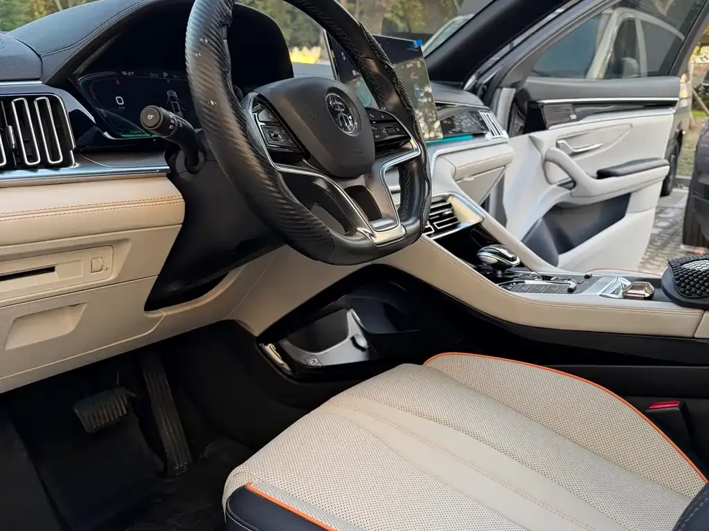 BYD PLUS New Energy 2022 из CN, фото 6