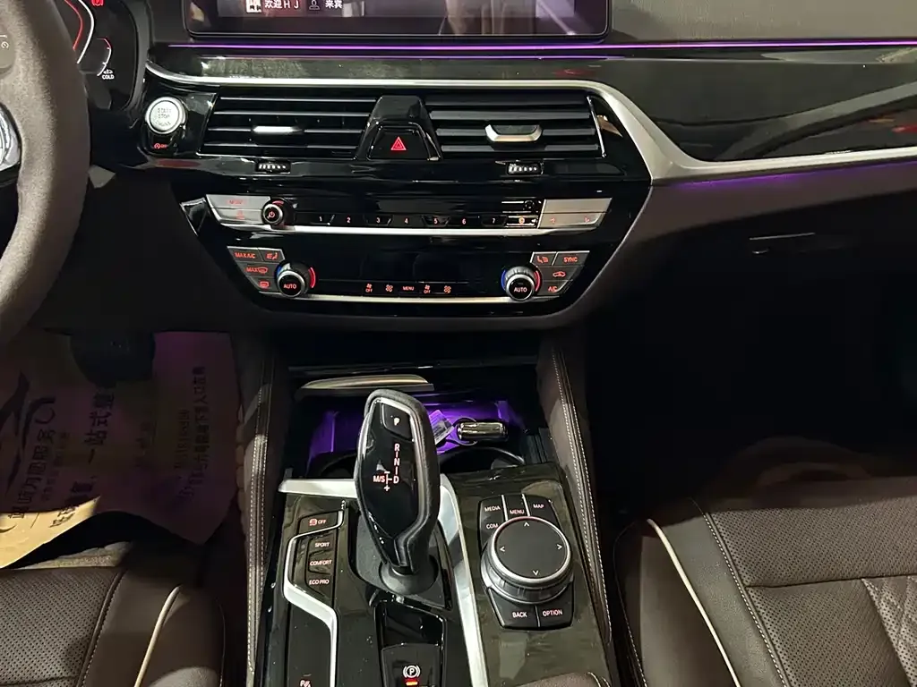 BMW 5 Series 2021 из CN, фото 10