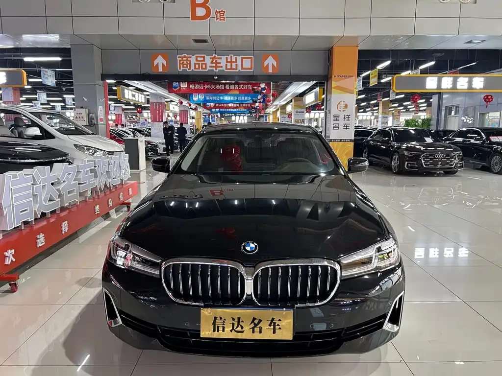 BMW 5 Series 2021 из CN, фото 2