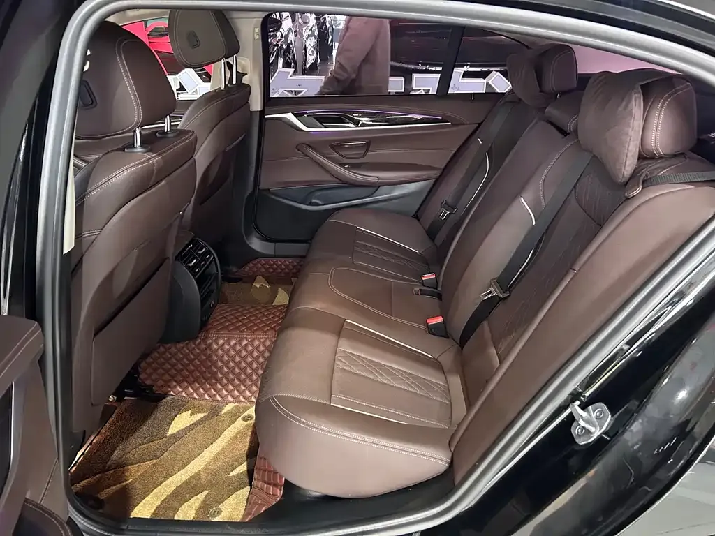 BMW 5 Series 2021 из CN, фото 8