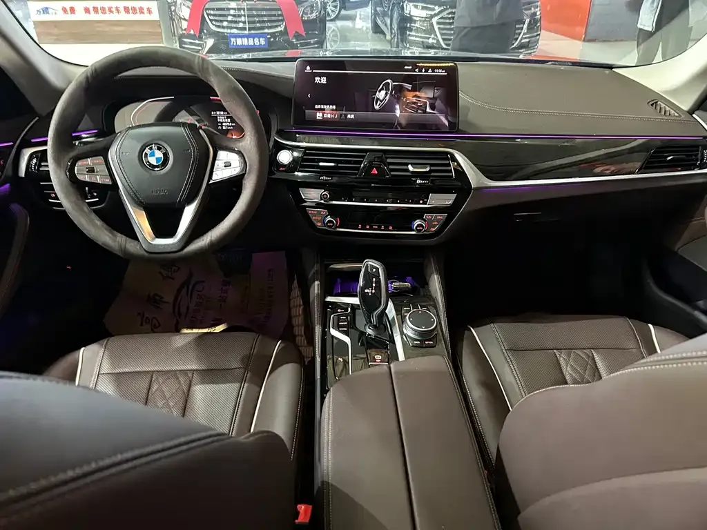 BMW 5 Series 2021 из CN, фото 9