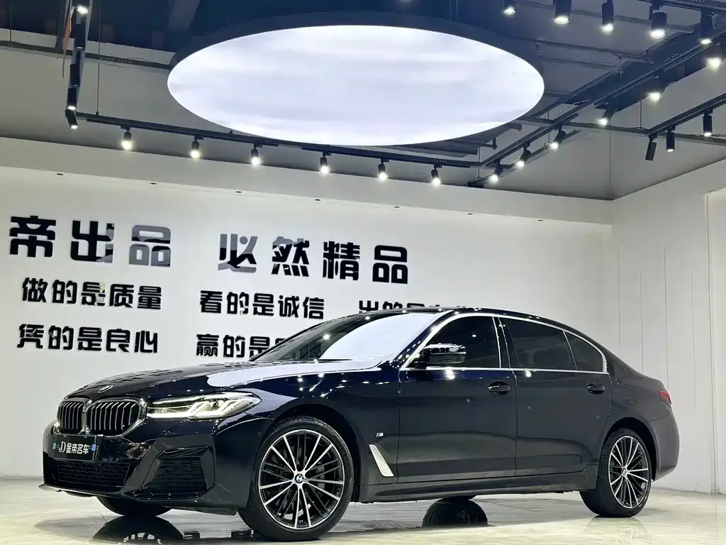 BMW 5 Series 2023 из CN, фото 1