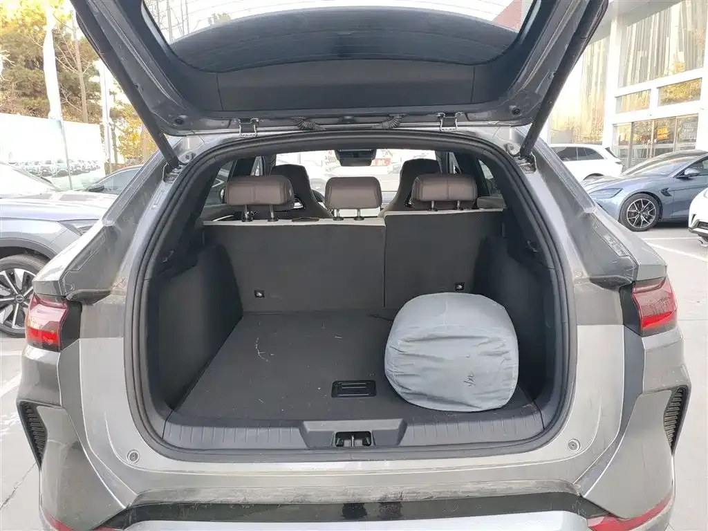 BYD PLUS New Energy 2025 из CN, фото 9