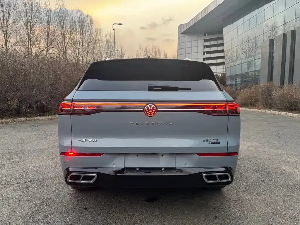 Volkswagen Tavendor 2022 из CN, фото 6