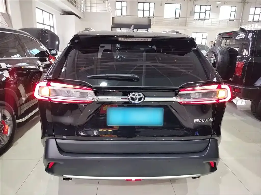 Toyota Wildlander 2024 из CN, фото 6