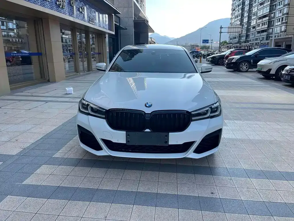 BMW 5 Series 2021 из CN, фото 2