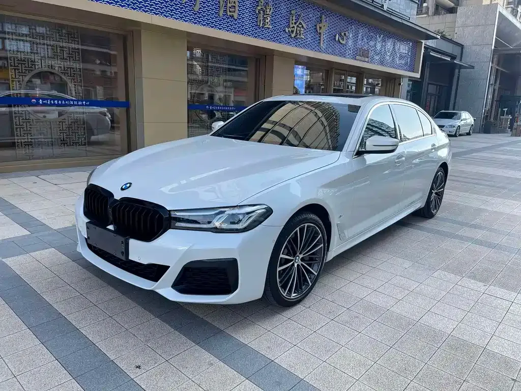 BMW 5 Series 2021 из CN, фото 3