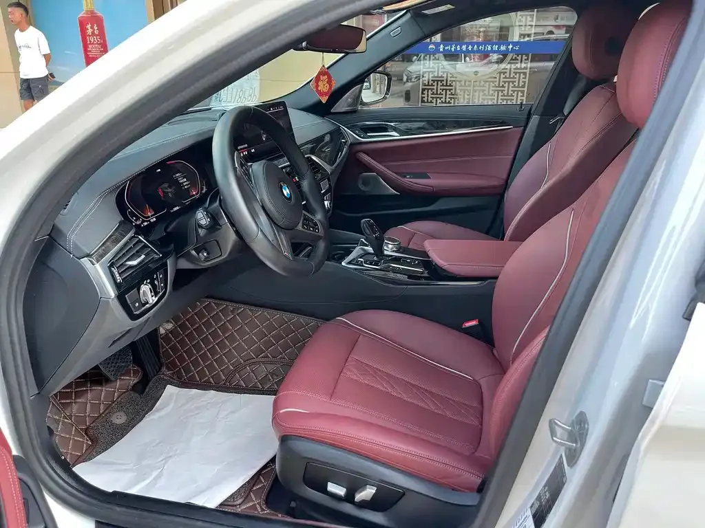 BMW 5 Series 2021 из CN, фото 4