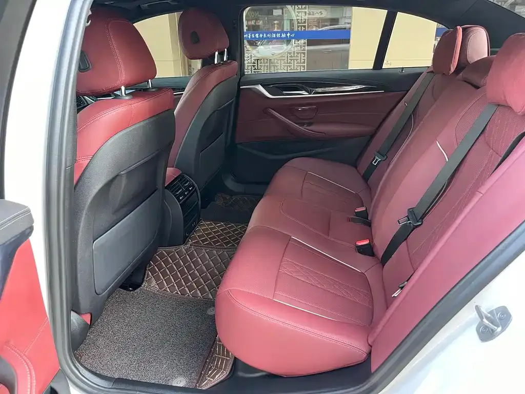BMW 5 Series 2021 из CN, фото 5
