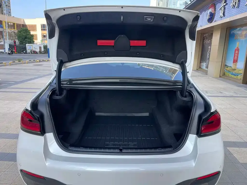 BMW 5 Series 2021 из CN, фото 9