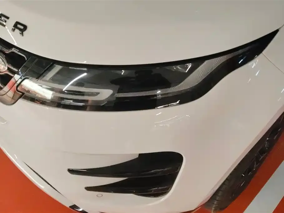 Land Rover Evoque 2021 из CN, фото 5