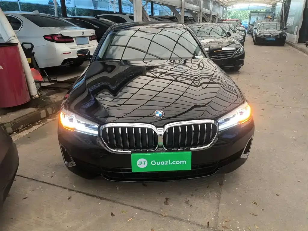 BMW 5 Series 2021 из CN, фото 3