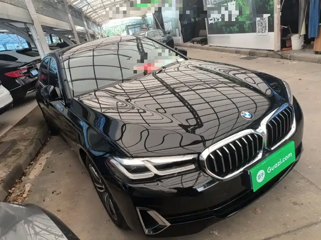 BMW 5 Series 2021 из CN, фото 4