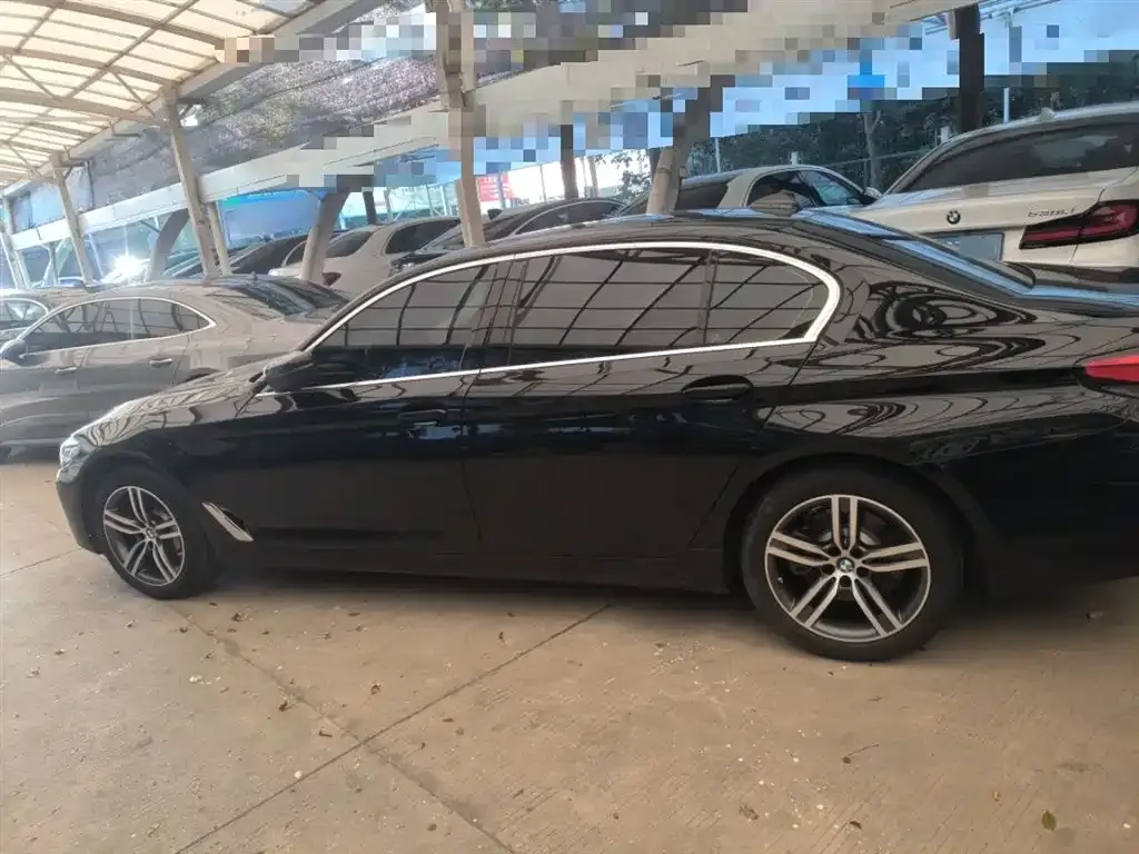 BMW 5 Series 2021 из CN, фото 5