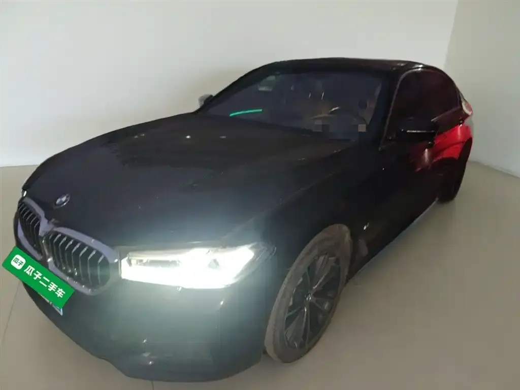 BMW 5 Series 2023 из CN, фото 2