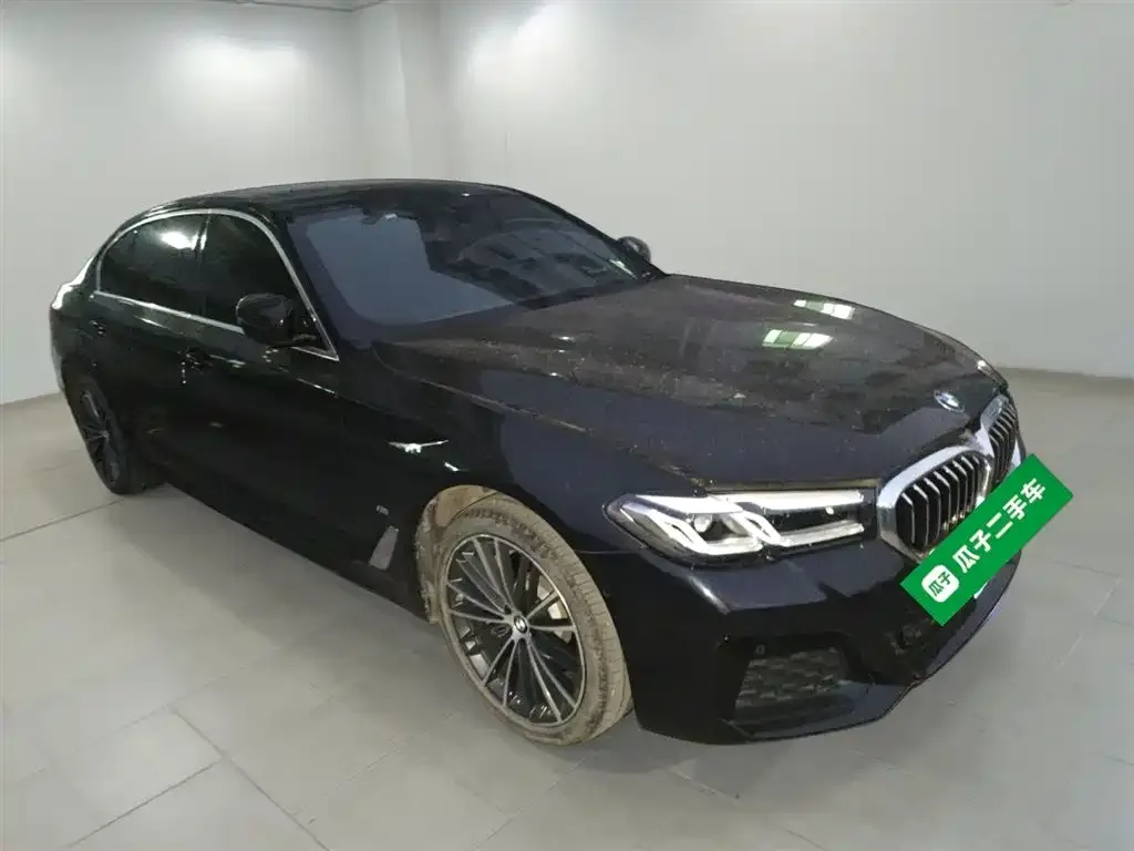 BMW 5 Series 2023 из CN, фото 4