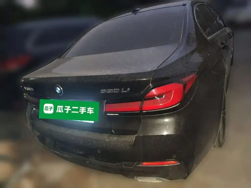 BMW 5 Series 2023 из CN, фото 6