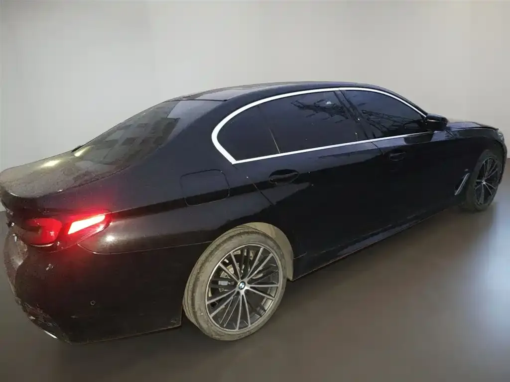 BMW 5 Series 2023 из CN, фото 7