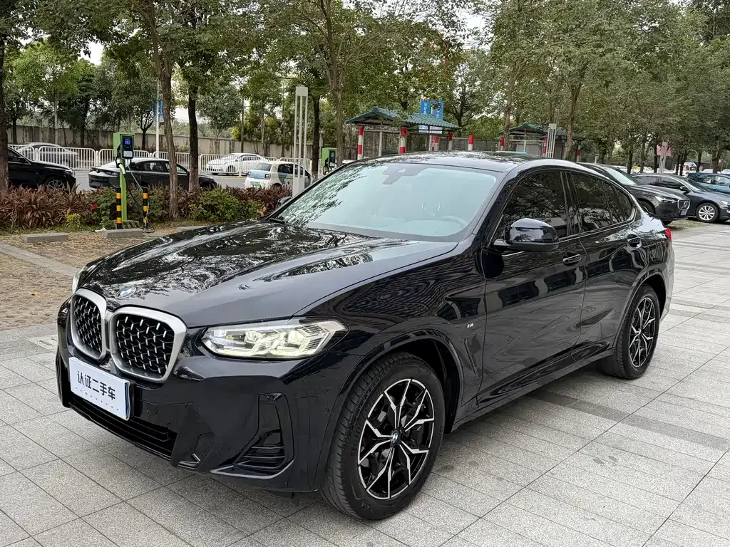 BMW X4 2023 из CN, фото 1