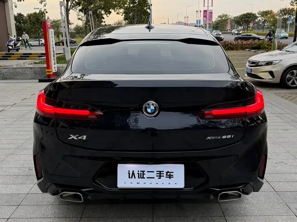 BMW X4 2023 из CN, фото 10