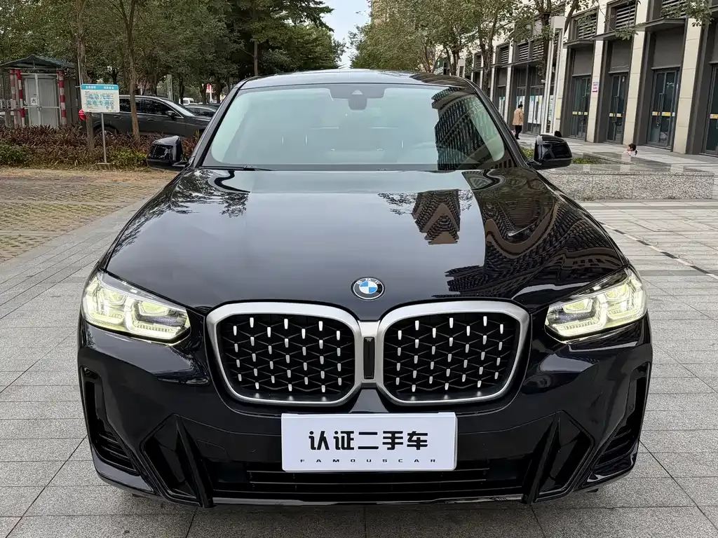 BMW X4 2023 из CN, фото 2