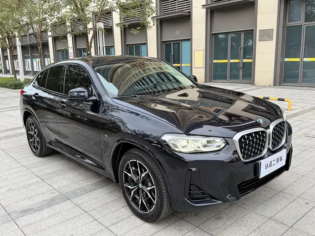 BMW X4 2023 из CN, фото 3