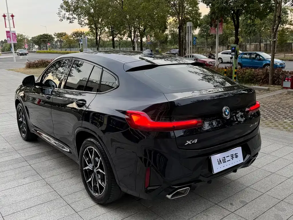 BMW X4 2023 из CN, фото 9