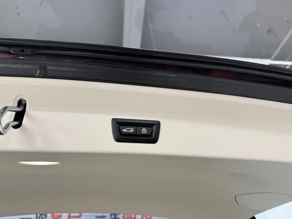 BMW X3 2021 из CN, фото 9