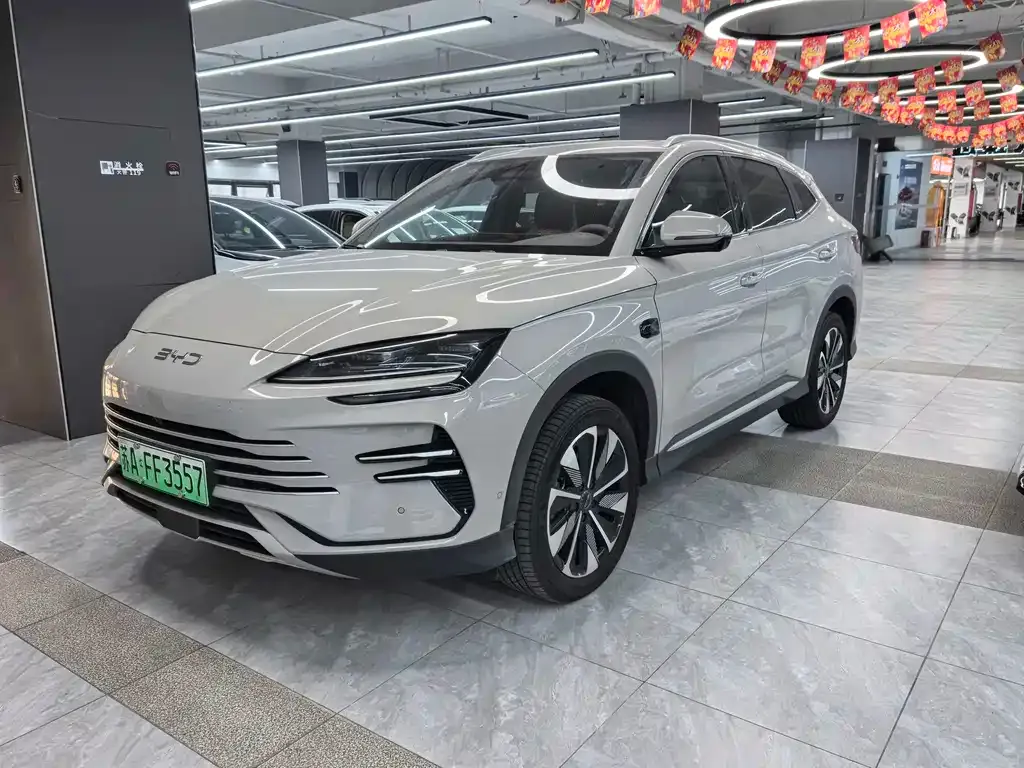 BYD PLUS New Energy 2025 из CN, фото 1