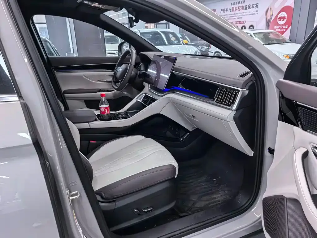 BYD PLUS New Energy 2025 из CN, фото 8