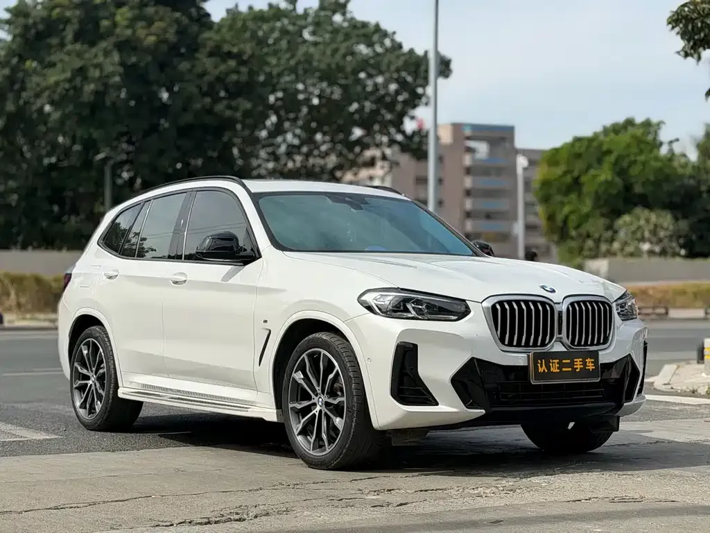 BMW X3 2024 из CN, фото 3