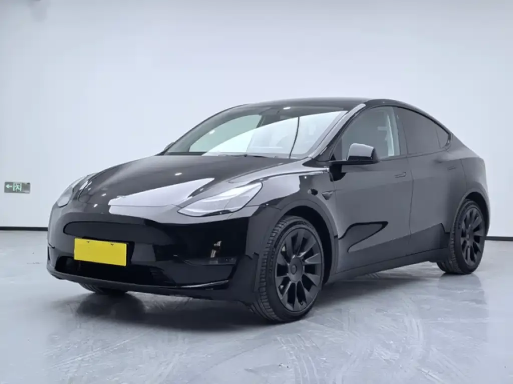 Tesla Model Y 2021 из CN, фото 1