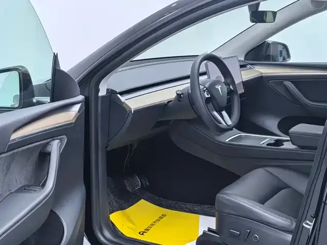 Tesla Model Y 2021 из CN, фото 10