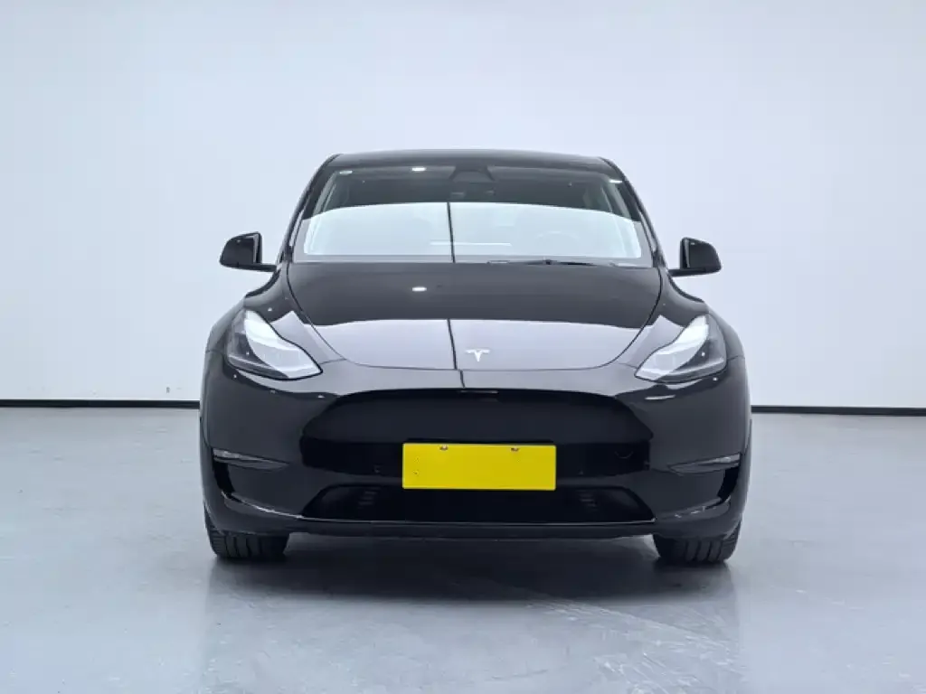 Tesla Model Y 2021 из CN, фото 2