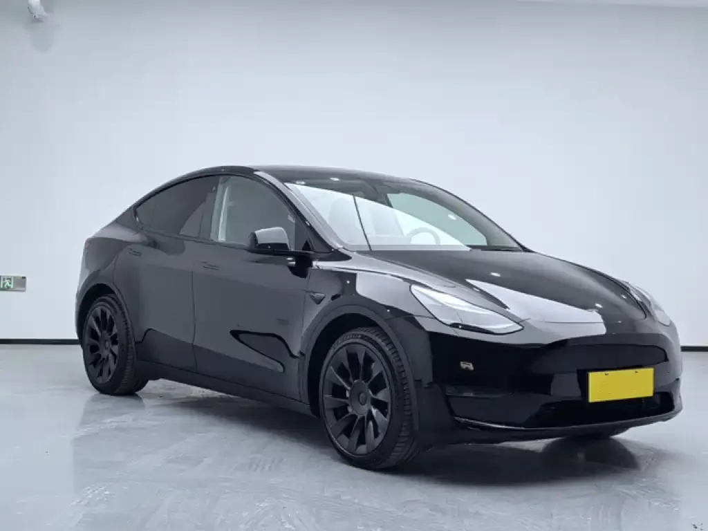 Tesla Model Y 2021 из CN, фото 3