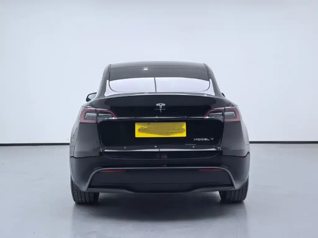Tesla Model Y 2021 из CN, фото 4