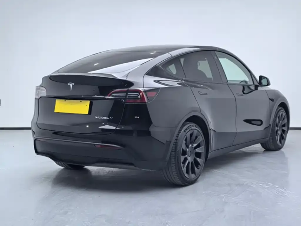 Tesla Model Y 2021 из CN, фото 6