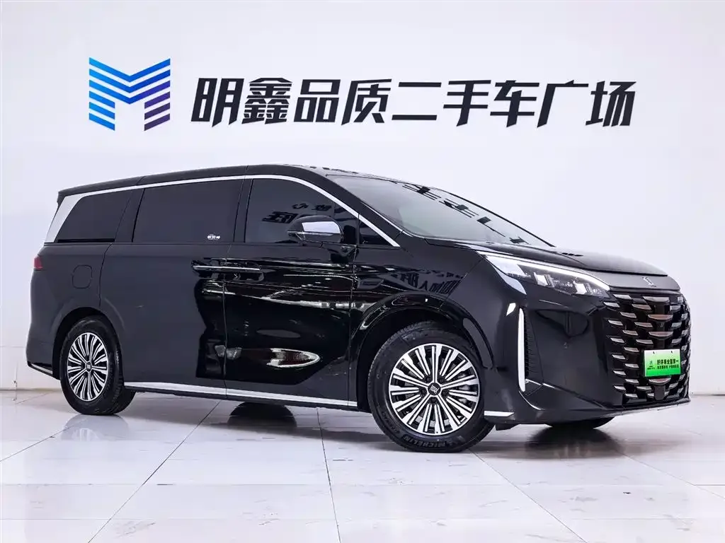 BYD Xia 2025 из CN, фото 5