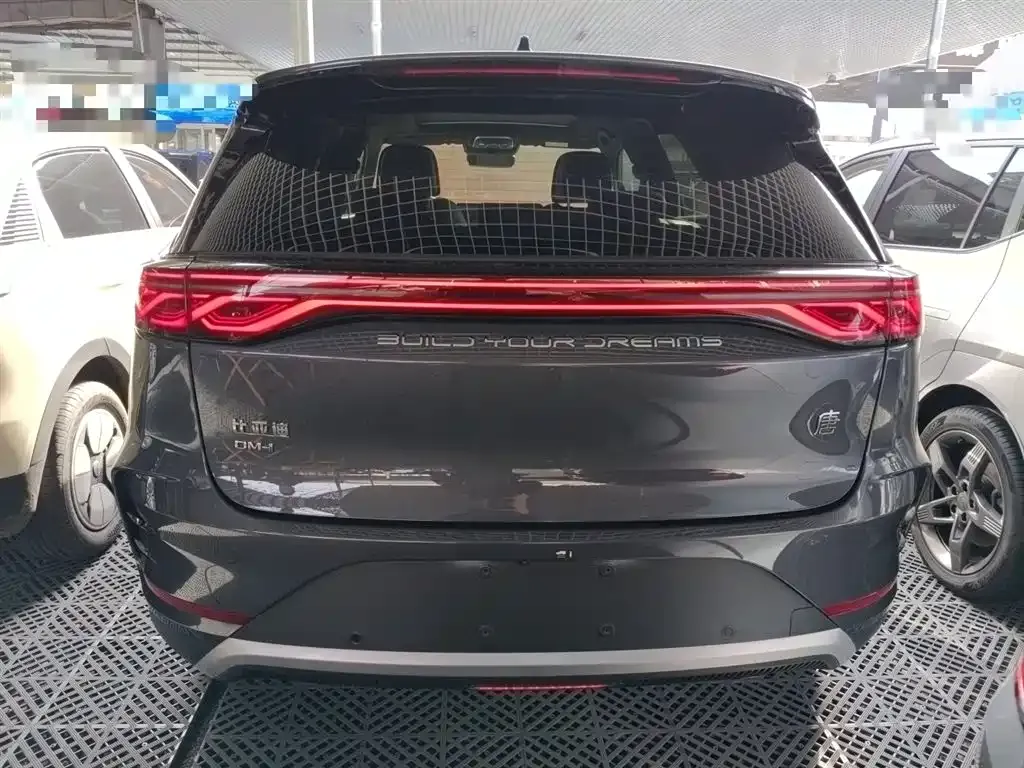 BYD Tang New Energy 2024 из CN, фото 6