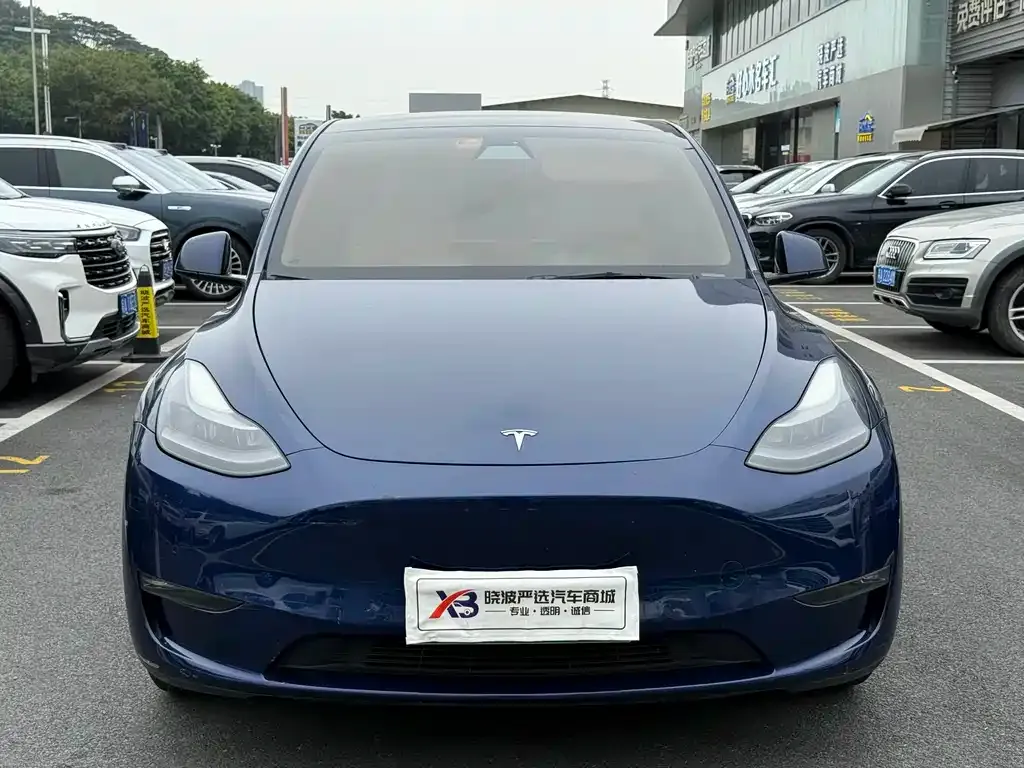 Tesla Model Y — фото 2