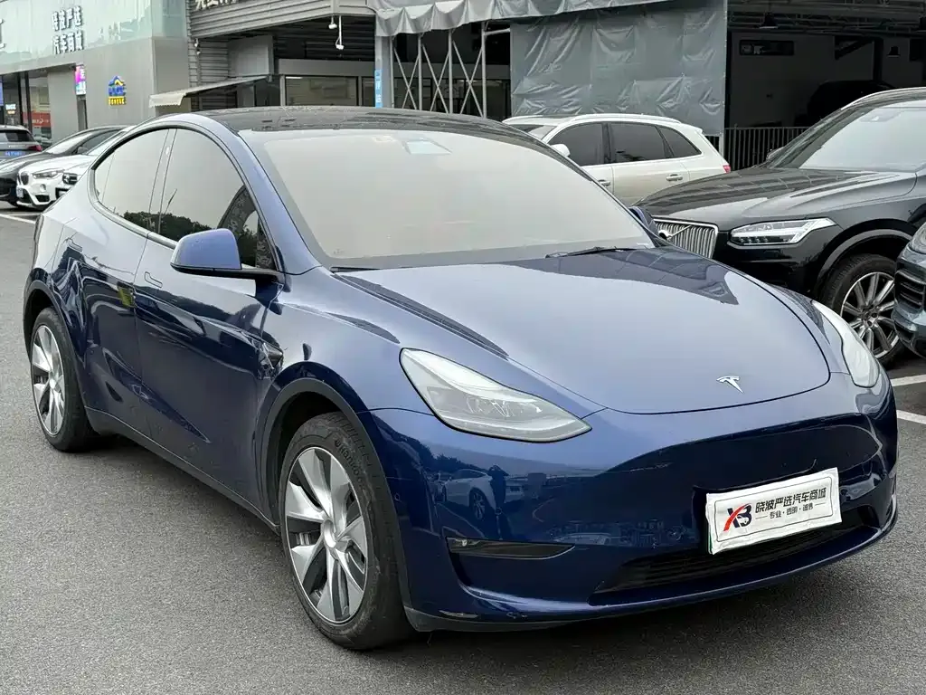 Tesla Model Y — фото 3