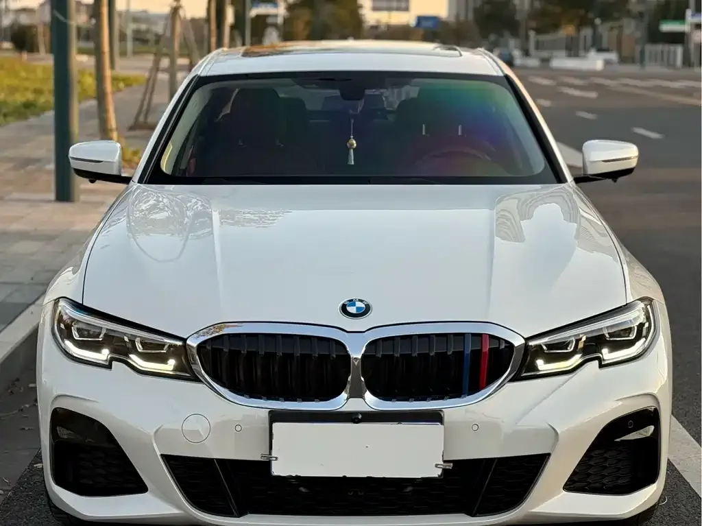 BMW 3 Series 2022 из CN, фото 3