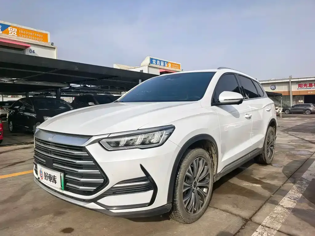 BYD Pro New Energy 2023 из CN, фото 1