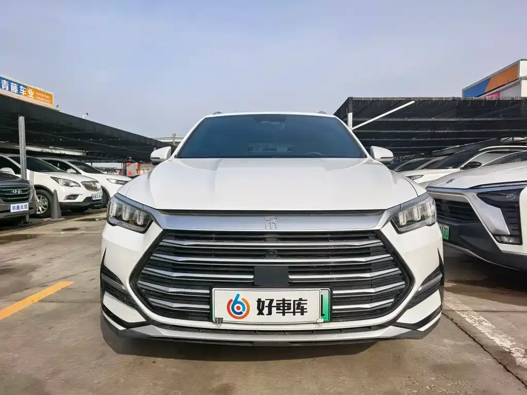 BYD Pro New Energy 2023 из CN, фото 2