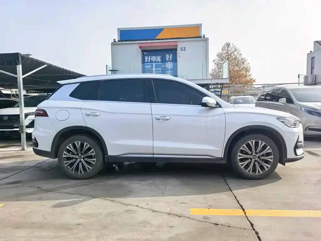 BYD Pro New Energy 2023 из CN, фото 4
