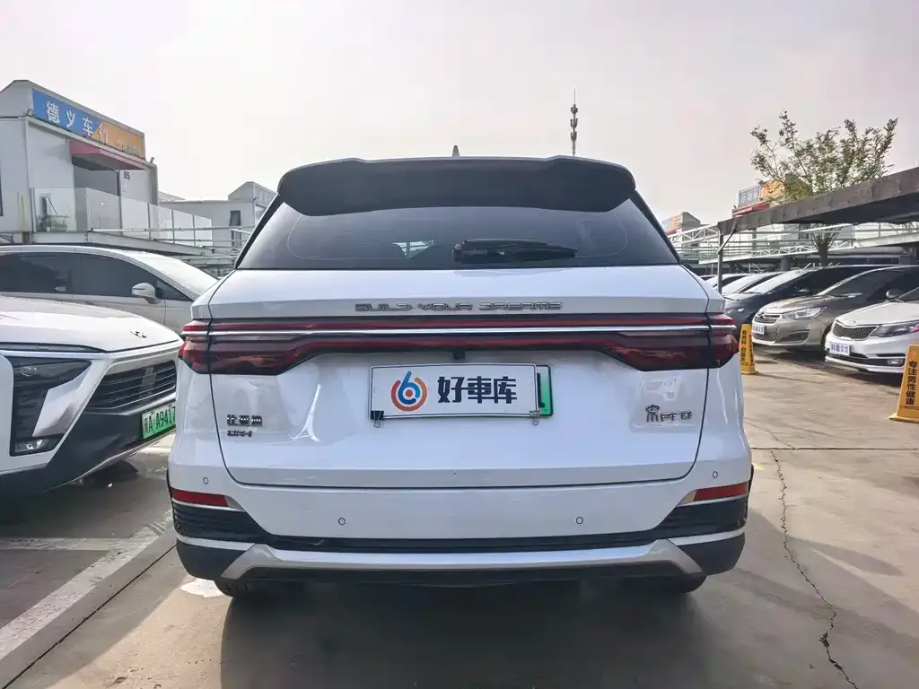 BYD Pro New Energy 2023 из CN, фото 6