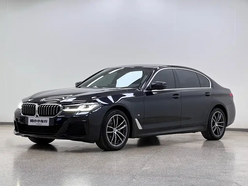 BMW 5 Series 2021 из CN, фото 1