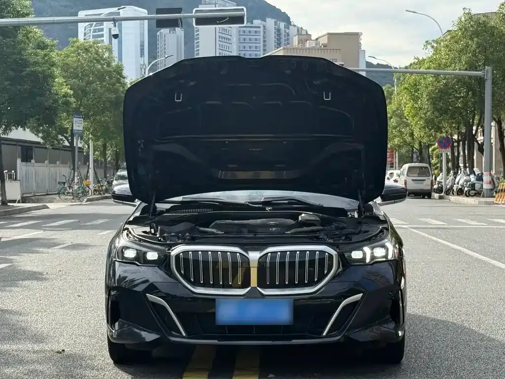 BMW 5 Series 2025 из CN, фото 9